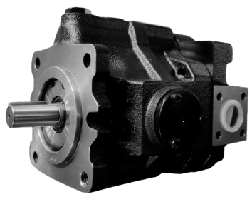 sb1-removebg-preview